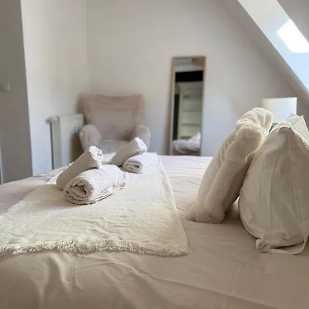 Charme Et Confort, Plein Centre Apartment Obernai